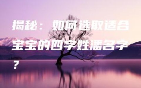 揭秘：如何选取适合宝宝的四字姓潘名字？