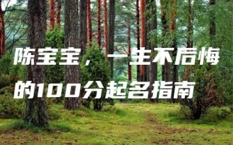 陈宝宝，一生不后悔的100分起名指南