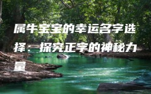 属牛宝宝的幸运名字选择：探究正字的神秘力量