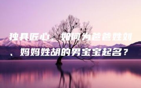 独具匠心，如何为爸爸姓刘、妈妈姓胡的男宝宝起名？