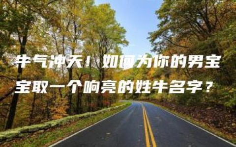 牛气冲天！如何为你的男宝宝取一个响亮的姓牛名字？