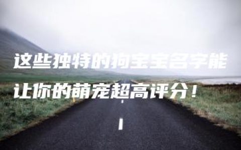 这些独特的狗宝宝名字能让你的萌宠超高评分！