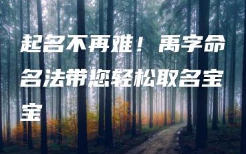 起名不再难！禹字命名法带您轻松取名宝宝