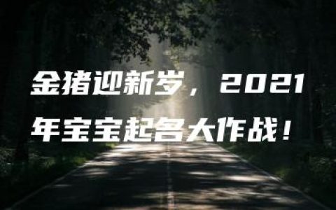 金猪迎新岁，2021年宝宝起名大作战！