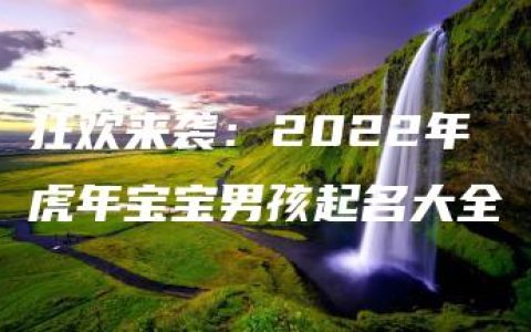 狂欢来袭：2022年虎年宝宝男孩起名大全