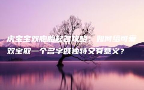 虎宝宝双胞胎起名攻略：如何给可爱双宝取一个名字既独特又有意义？