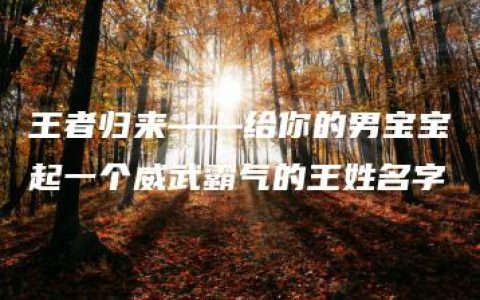 王者归来——给你的男宝宝起一个威武霸气的王姓名字