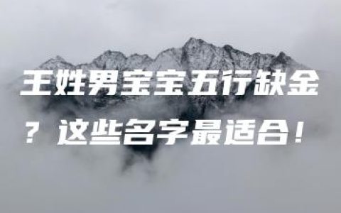 王姓男宝宝五行缺金？这些名字最适合！