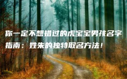 你一定不想错过的虎宝宝男孩名字指南：姓朱的独特取名方法！