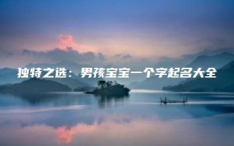 独特之选：男孩宝宝一个字起名大全