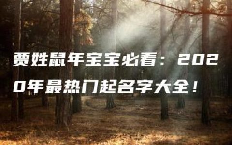 贾姓鼠年宝宝必看：2020年最热门起名字大全！