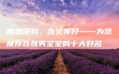 寓意深刻，含义美好——为您推荐姓魏男宝宝的十大好名