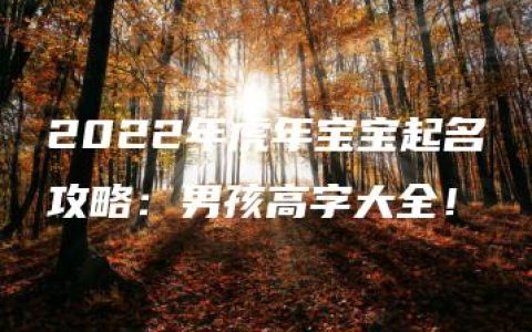 2022年虎年宝宝起名攻略：男孩高字大全！