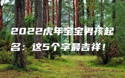 2022虎年宝宝男孩起名：这5个字最吉祥！