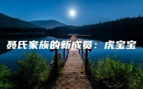 聂氏家族的新成员：虎宝宝