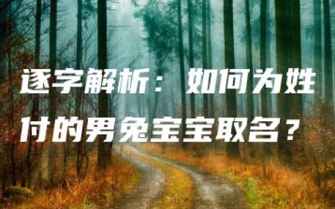 逐字解析：如何为姓付的男兔宝宝取名？