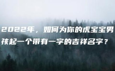 2022年，如何为你的虎宝宝男孩起一个带有一字的吉祥名字？