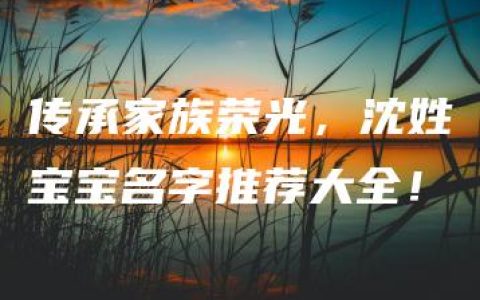 传承家族荣光，沈姓宝宝名字推荐大全！