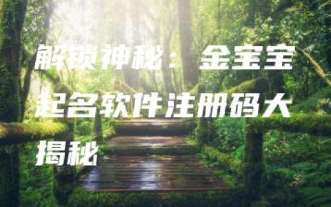 解锁神秘：金宝宝起名软件注册码大揭秘