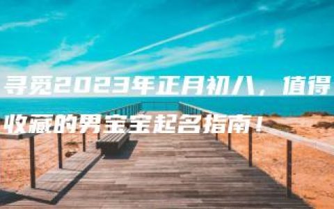 寻觅2023年正月初八，值得收藏的男宝宝起名指南！