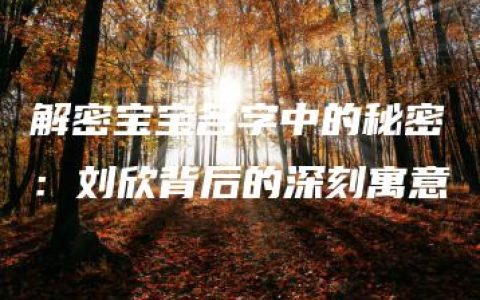 解密宝宝名字中的秘密：刘欣背后的深刻寓意