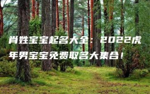 肖姓宝宝起名大全：2022虎年男宝宝免费取名大集合！