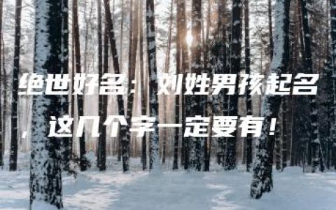 绝世好名：刘姓男孩起名，这几个字一定要有！