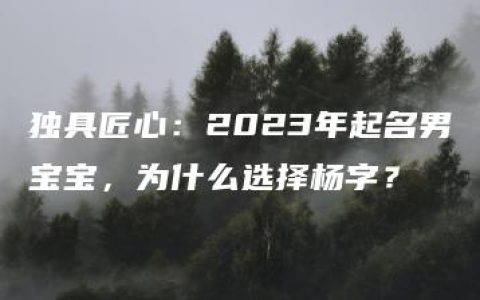 独具匠心：2023年起名男宝宝，为什么选择杨字？