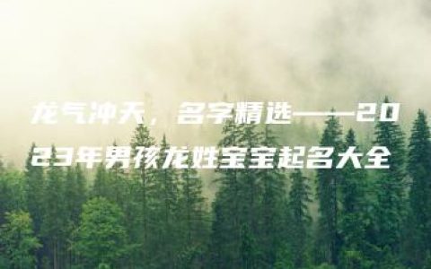 龙气冲天，名字精选——2023年男孩龙姓宝宝起名大全