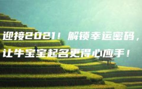 迎接2021！解锁幸运密码，让牛宝宝起名更得心应手！