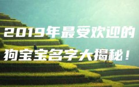 2019年最受欢迎的狗宝宝名字大揭秘！