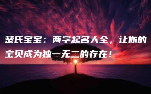 楚氏宝宝：两字起名大全，让你的宝贝成为独一无二的存在！