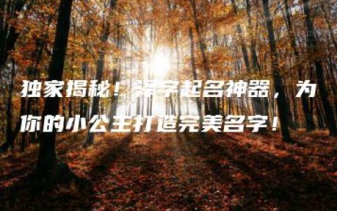 独家揭秘！泽字起名神器，为你的小公主打造完美名字！