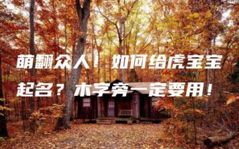 萌翻众人！如何给虎宝宝起名？木字旁一定要用！