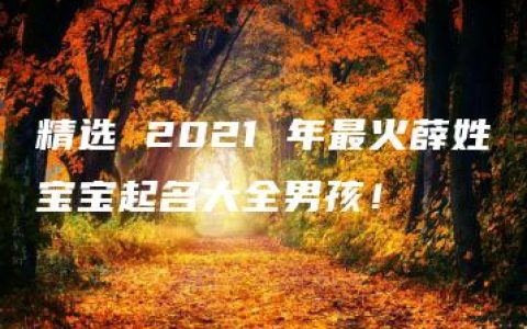 精选 2021 年最火薛姓宝宝起名大全男孩！