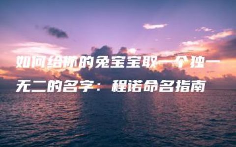 如何给你的兔宝宝取一个独一无二的名字：程诺命名指南