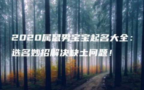 2020属鼠男宝宝起名大全：选名妙招解决缺土问题！