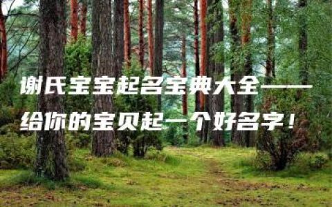 谢氏宝宝起名宝典大全——给你的宝贝起一个好名字！