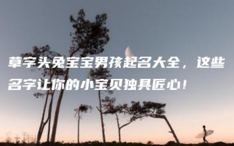 草字头兔宝宝男孩起名大全，这些名字让你的小宝贝独具匠心！