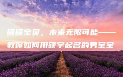 硕硕宝贝，未来无限可能——教你如何用硕字起名的男宝宝