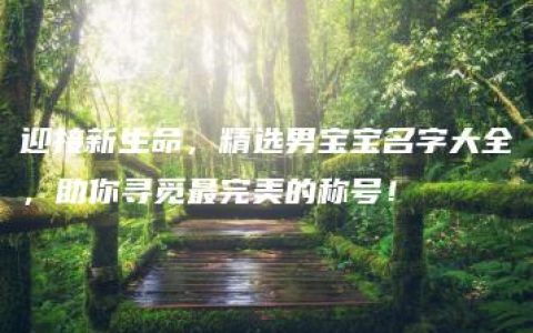 迎接新生命，精选男宝宝名字大全，助你寻觅最完美的称号！