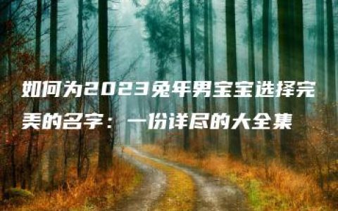 如何为2023兔年男宝宝选择完美的名字：一份详尽的大全集