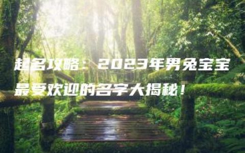 起名攻略：2023年男兔宝宝最受欢迎的名字大揭秘！