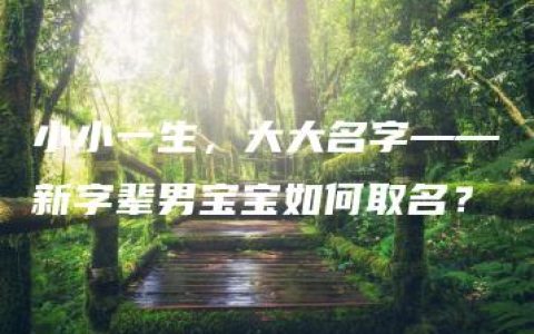 小小一生，大大名字——新字辈男宝宝如何取名？