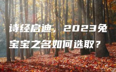 诗经启迪，2023兔宝宝之名如何选取？