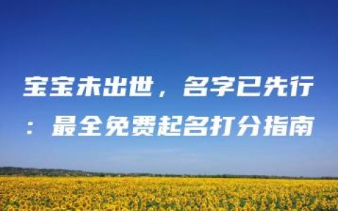 宝宝未出世，名字已先行：最全免费起名打分指南