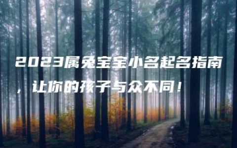 2023属兔宝宝小名起名指南，让你的孩子与众不同！