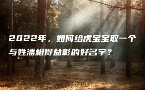 2022年，如何给虎宝宝取一个与姓潘相得益彰的好名字？