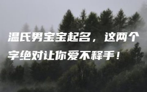 温氏男宝宝起名，这两个字绝对让你爱不释手！