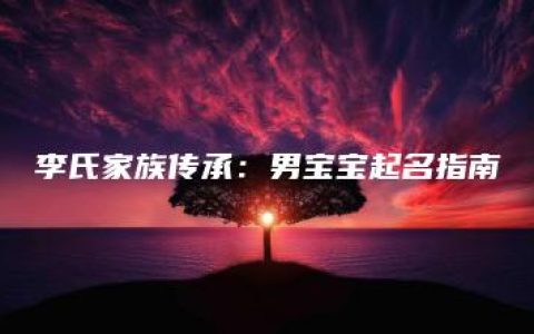 李氏家族传承：男宝宝起名指南